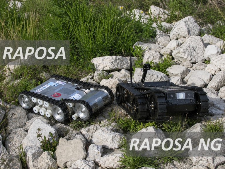 03_RAPOSA